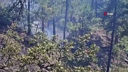 Denizli’deki orman yangınında 165 hektar alan kül olmaktan kurtarıldı