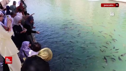 Şanlıurfa'da kavurucu sıcak etkisini sürdürüyor