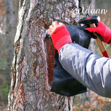 Healing the hollows of trees