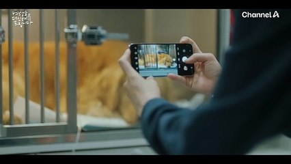 밥도 잘 못 먹고 상태가 좋지 않았던 지니! 사진 속에서 그 이유를 찾은 공승연?!