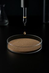 The Lab Experiment - A Mini Dinosaur is Born #dinosaur #cat #kitten #animals #asmr #ai #trending