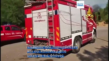 Ειδήσεις | 10 Αυγούστου 2025 - Βραδινό δελτίο