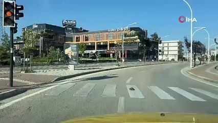 Bursa\'daki bu kaplumbağa Türkiye gündeminde! Herkese ders verdi...