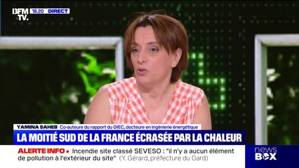 Canicule: "la production laitière pourrait baisser de 30%", explique Yamina Saheb, co-auteure du rapport du GIEC