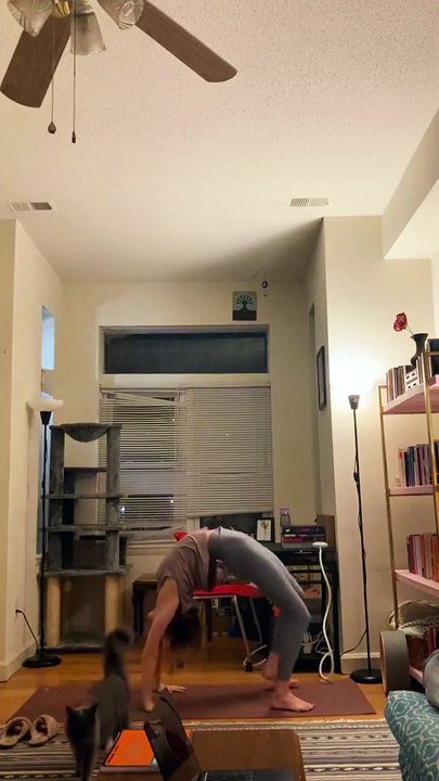 When your cat thinks she’s your assistant 🐱💼 #fyp #foryou #cat #cats