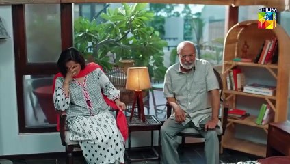 Judwa_ Episode 13 / Pakistani drama / HUM TV