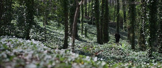 Unlock the Secrets of Movie Magic 2.0: Inheritance Explained 🎬