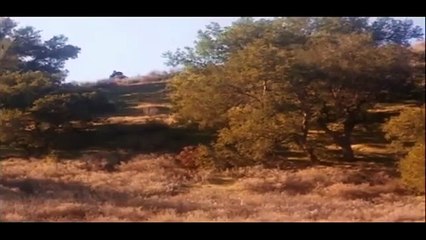 Testigo (Serie "Los Siete Magníficos")