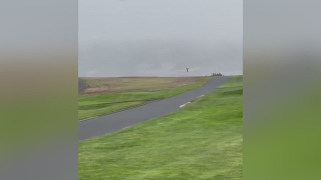 Unbelievable scene! Seagull snatches wallet from golfer at Pebble Beach