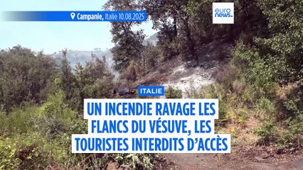 Italie : l'incendie progresse sur les flancs du Vésuve