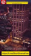 Before The Divorce My Ceo Husband Can't Get Enough Of Me 💕 Completed