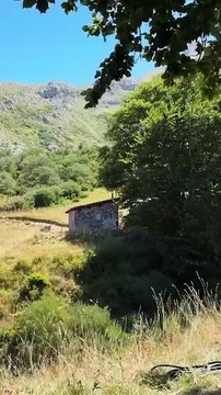 The Hunger Games: Sunrise on the Reaping Begins Filming