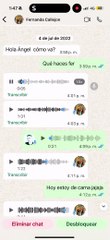 Ángel de Brito mostró los audios de María Fernanda Callejón