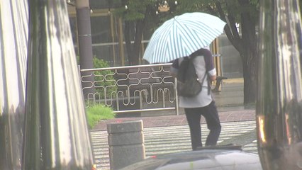 [날씨] 남부 정체전선 영향 비...중북부 무더위 속 소나기 / YTN