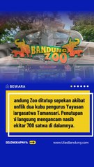 Kebun Binatang Bandung Ditutup Akibat Konflik, 700 Satwa Terancam Kelaparan