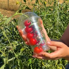 Grow Cherry Tomatoes Faster 🍅🌱