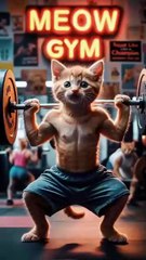 Sleepy Cats Doing Silly Things 😴🤣