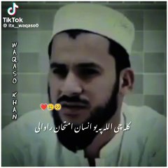 Short Videos & Cartoons”