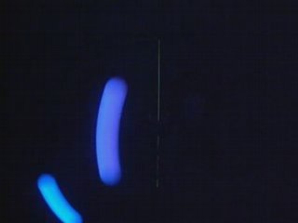 Bolas