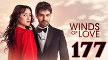 Ruzgarli Tepe - Episode 177