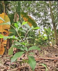 What Happens to This Baby? | Heart-Touching Real Story of Innocence and Hope