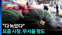 [자막뉴스] 시장에 가보니...이상기후가 만든 암담한 현실 / YTN