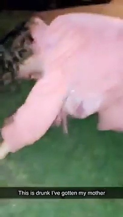 Çöp Kutusunun Üzerinden Atlamak İsteyen Adamın Dramı
