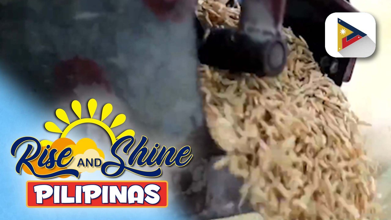 Crop production sa 2nd quarter ng 2025, umabot ng mahigit 22MT; volume ng poultry, tumaas din | Vel Custodio