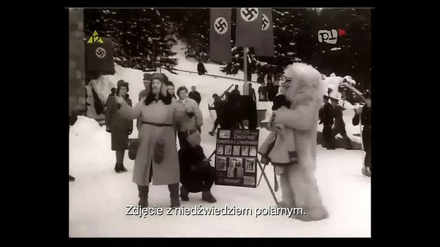 BIAŁY NIEDŹWIEDŹ 1959