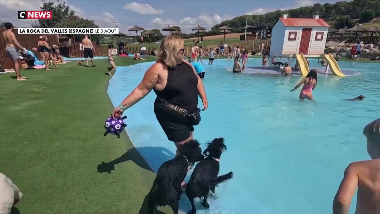 En Espagne, un parc canin se transforme en parc aquatique pour maîtres et chiens
