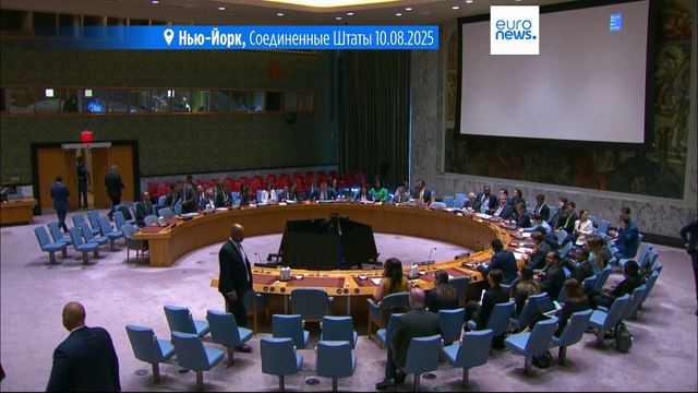 Совбез ООН на экстренном заседании обсудил планы Израиля по захвату сектора Газа