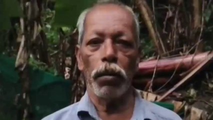 'ഇന്ന് രാത്രി എന്ത് സംഭവിക്കും എന്ന് ആർക്കറിയാം..' പീരുമേട്ടിൽ ആദിവാസി ഊരിലെ നാല് വീടുകൾ ആന തകർത്തു