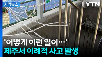 [자막뉴스] 의아한 상황에 쓰러진 전문가들...커지는 의문 / YTN