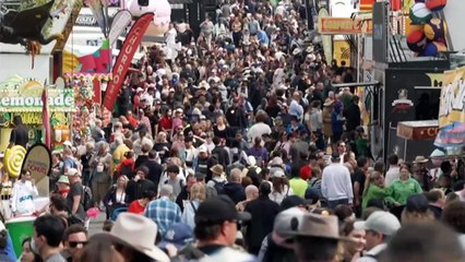 More than 80,000 people attend opening weekend of Brisbane show