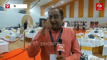 સાસણમાં યોજાશે પ્રથમ આંતરરાષ્ટ્રીય સિંહ સંવર્ધન સેમિનાર, ગ્રેટર આફ્રિકાના તજજ્ઞ રહેશે હાજર
