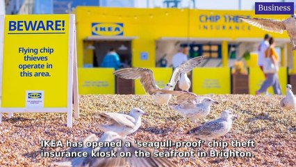 Sussex World Morning Update 11 August, 2025