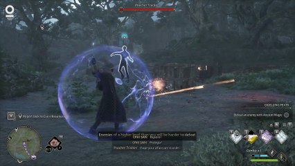 Hogwarts Legacy #45 Brothers Keeper Quest