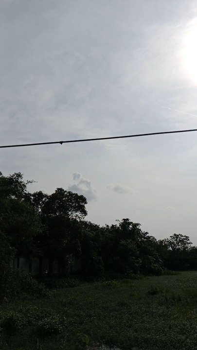 Lion in sky