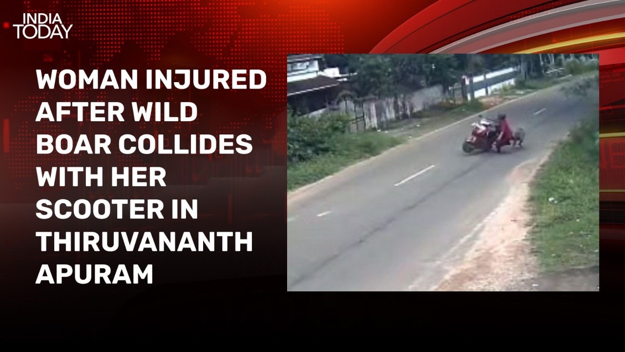 Caught on CCTV: Woman injured after wild boar collides with her scooter