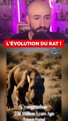 L'ÉVOLUTION DU RAT DEPUIS 500 MILLIONS D'ANNÉES ?!