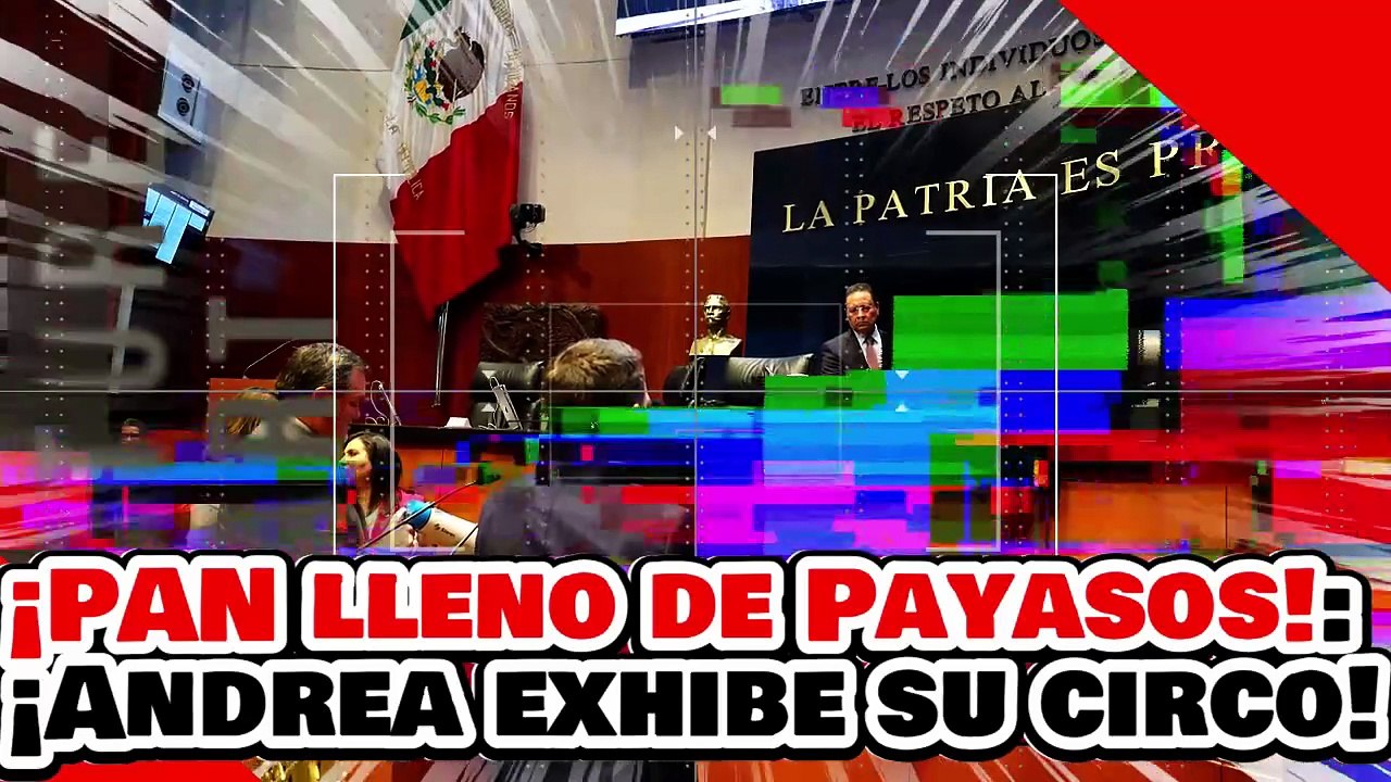🔥🚨¡EL PAN CONVIERTE AL SENADO EN UN CIRCO! ¡ANDREA CHÁVEZ EXHIBE a los NARKO PANISTAS!