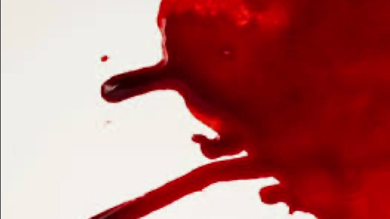 Partners in Blood