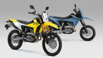 Suzuki DR-Z 4 S e SM: stessa anima, caratteri diversi