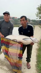 Chill Fishing Moments - 89