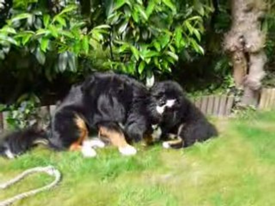 Video16-05-08 002