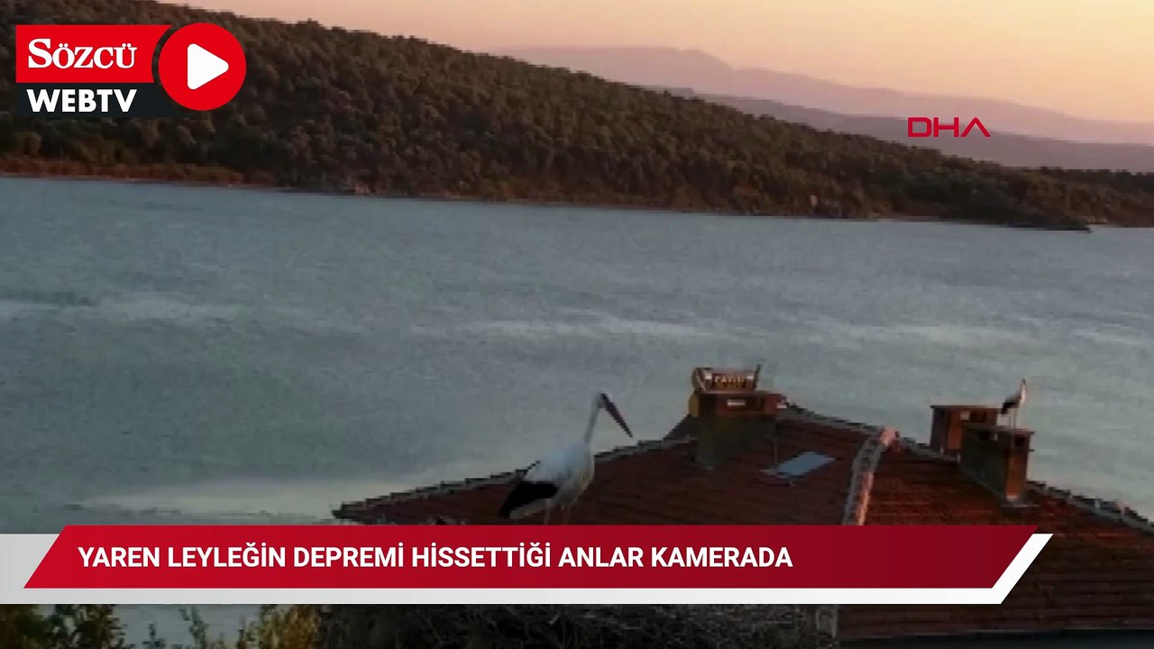 Yaren leyleğin depremi hissettiği anlar kamerada