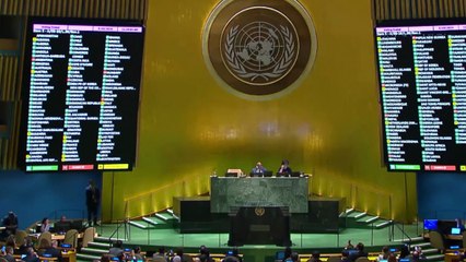 Australia reconocerá el Estado de Palestina en la Asamblea General de la ONU en septiembre