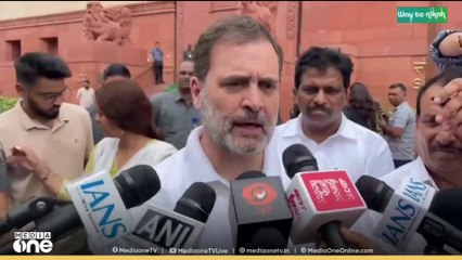 വോട്ട് ക്രമക്കേടിൽ 300ഓളം എംപിമാർ കമ്മീഷനെ കാണണമെന്ന് ആ​ഗ്രഹിക്കുന്നുവെന്ന് രാഹുൽ ​ഗാന്ധി