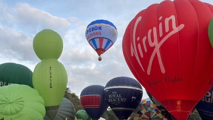 A roundup of the 47th International Balloon Fiesta