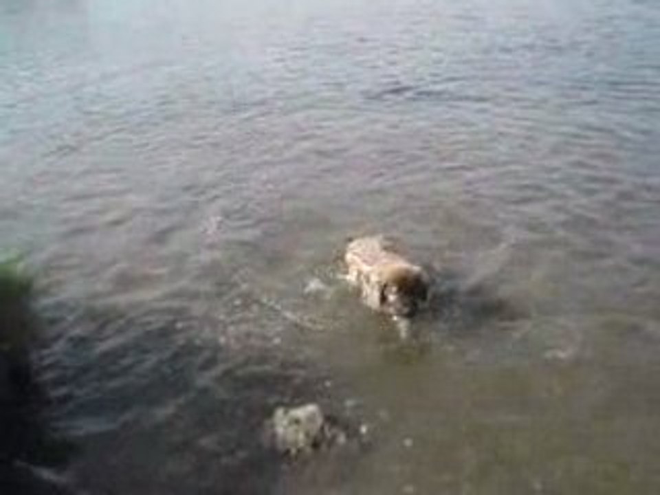 MOV00026